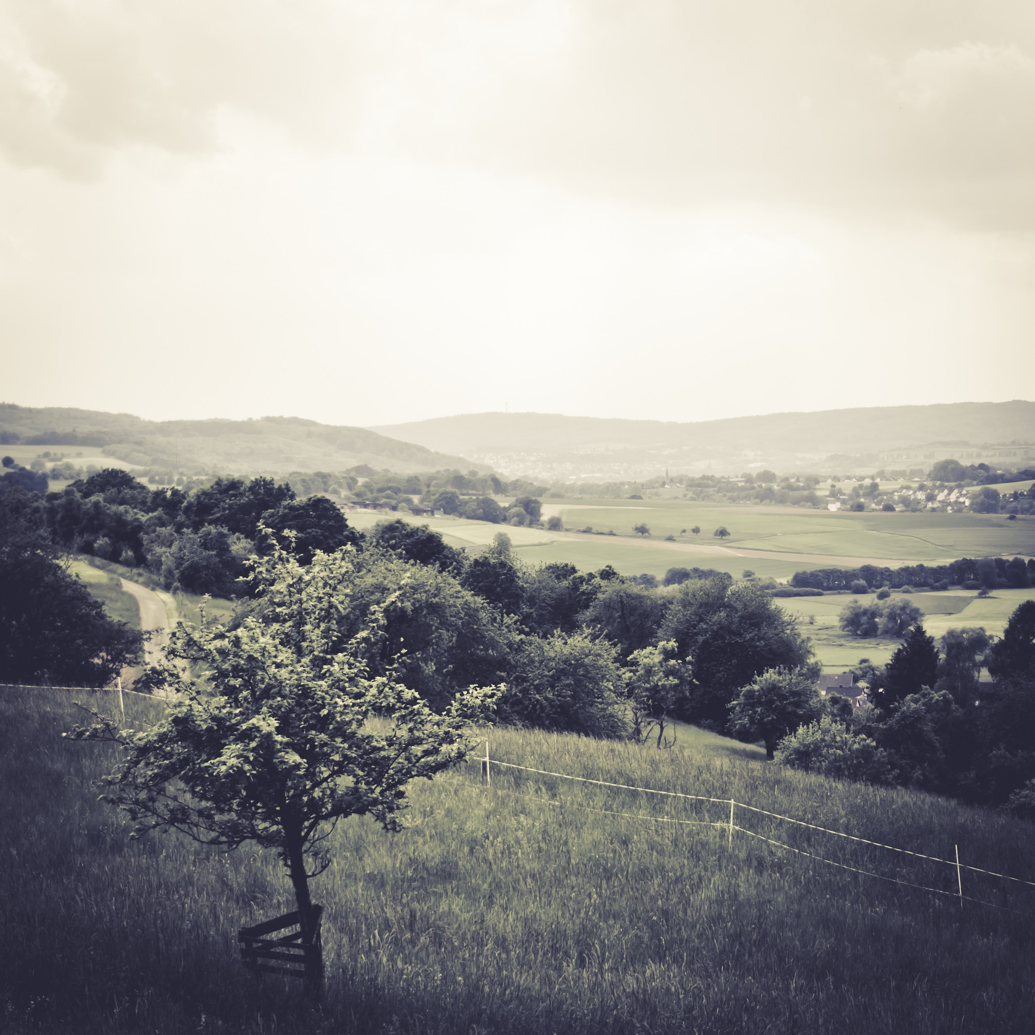 Sony E 35mm F1.8 OSS sample photo. Square series - leun photography