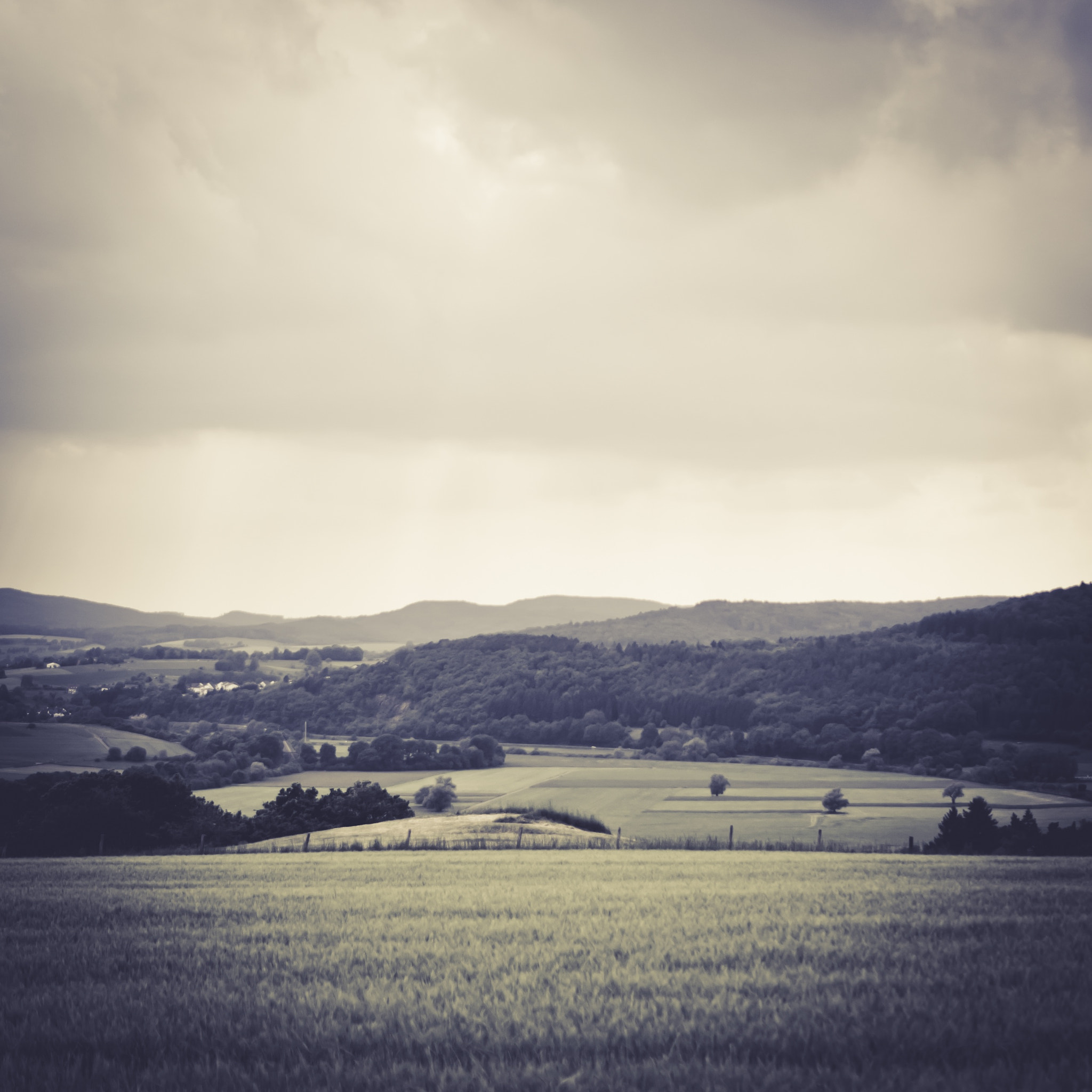 Sony E 35mm F1.8 OSS sample photo. Square series - taunus photography
