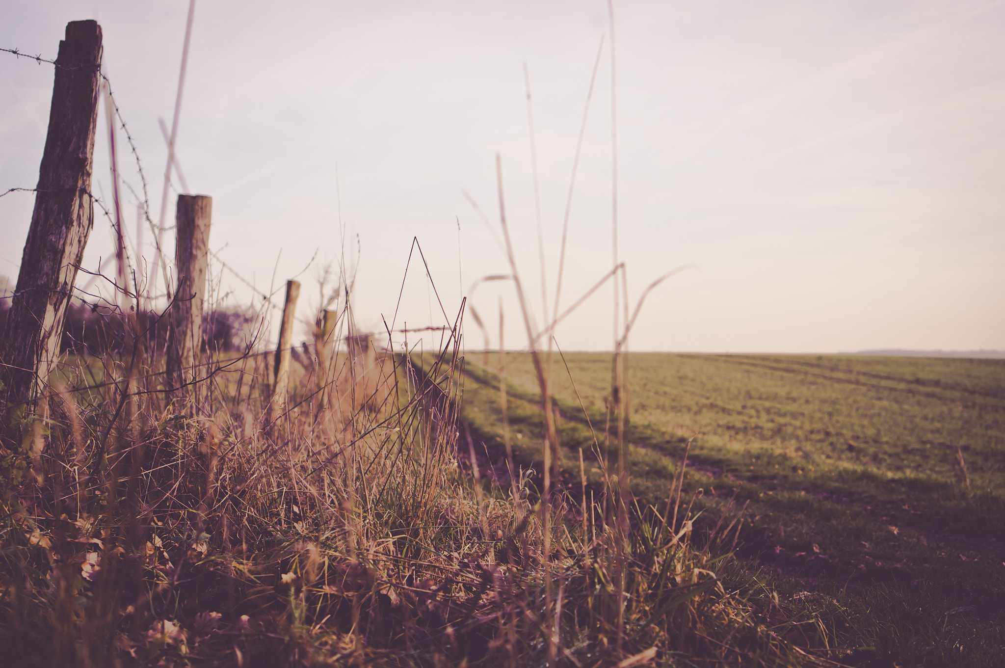 Sony E 35mm F1.8 OSS sample photo. Pasture fence photography