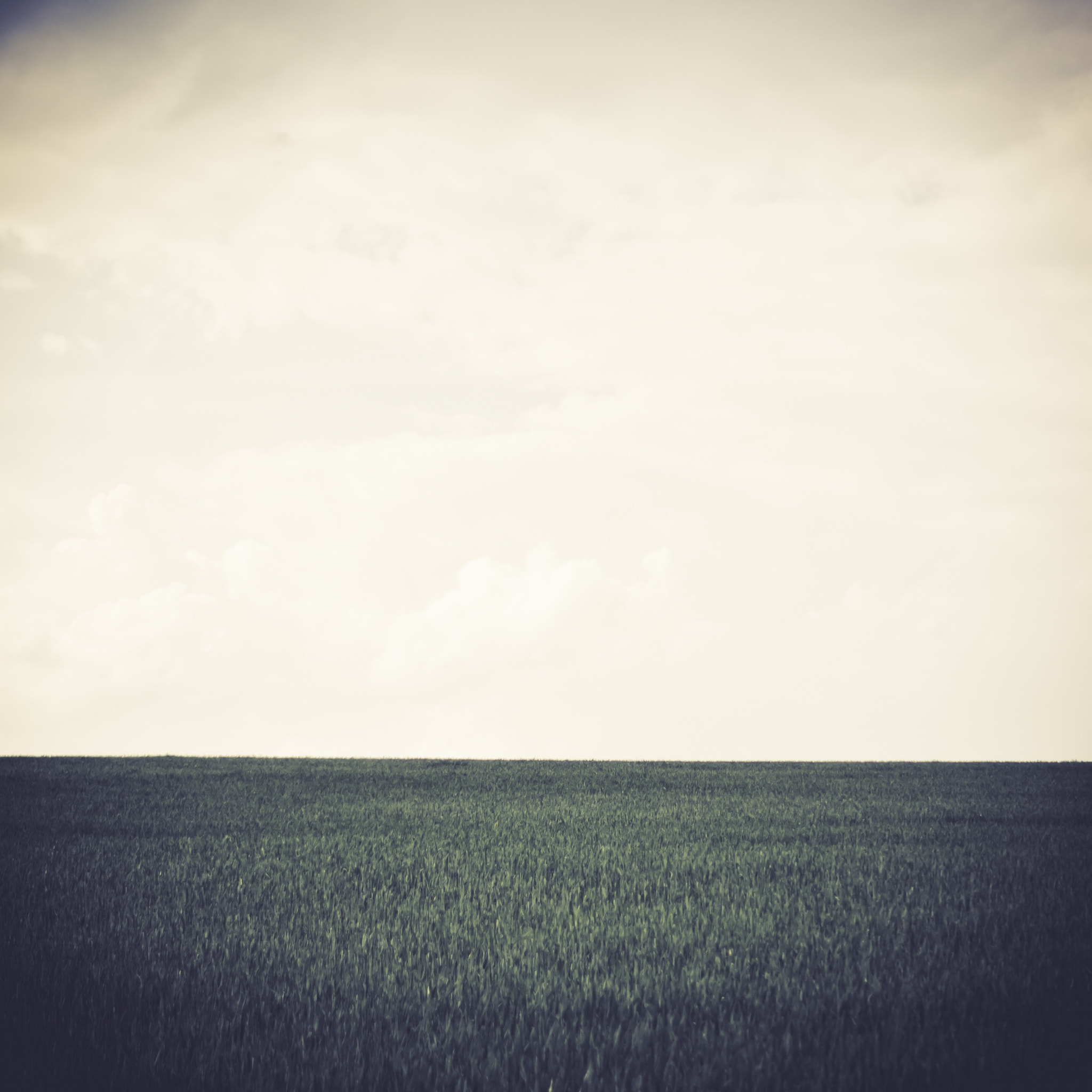 Sony E 35mm F1.8 OSS sample photo. Square series - minimal photography