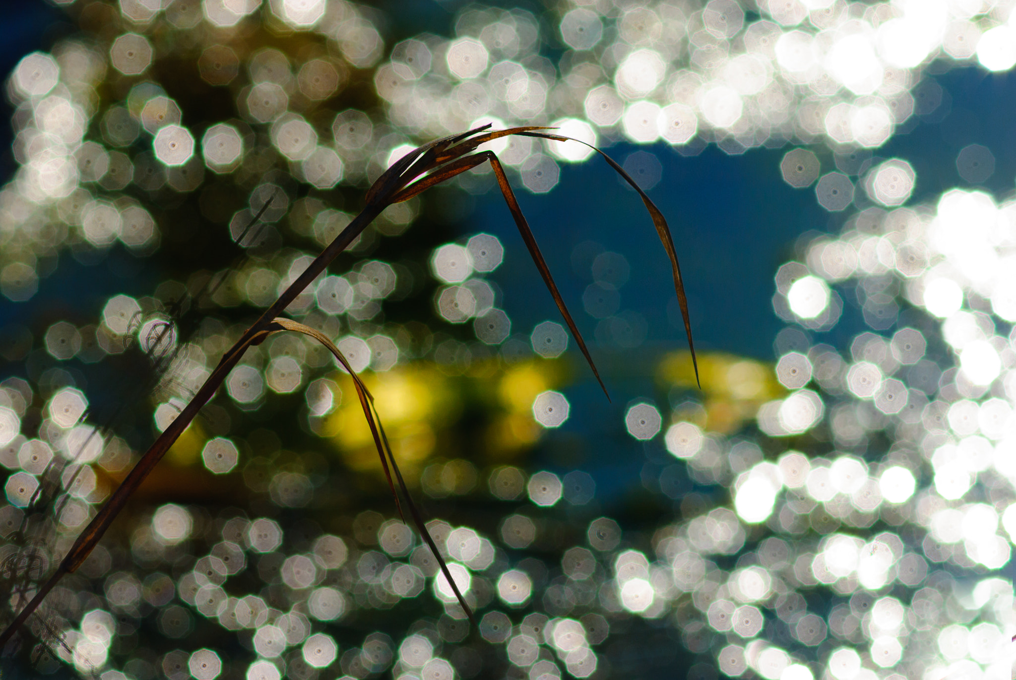 AF Zoom-Nikkor 75-300mm f/4.5-5.6 sample photo. Утро photography