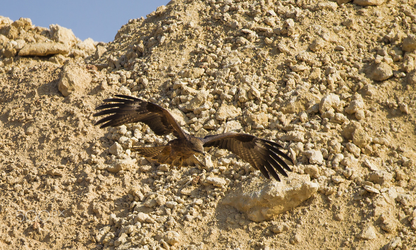 Sigma 150-600mm F5-6.3 DG OS HSM | C sample photo. 1_262.jpg photography