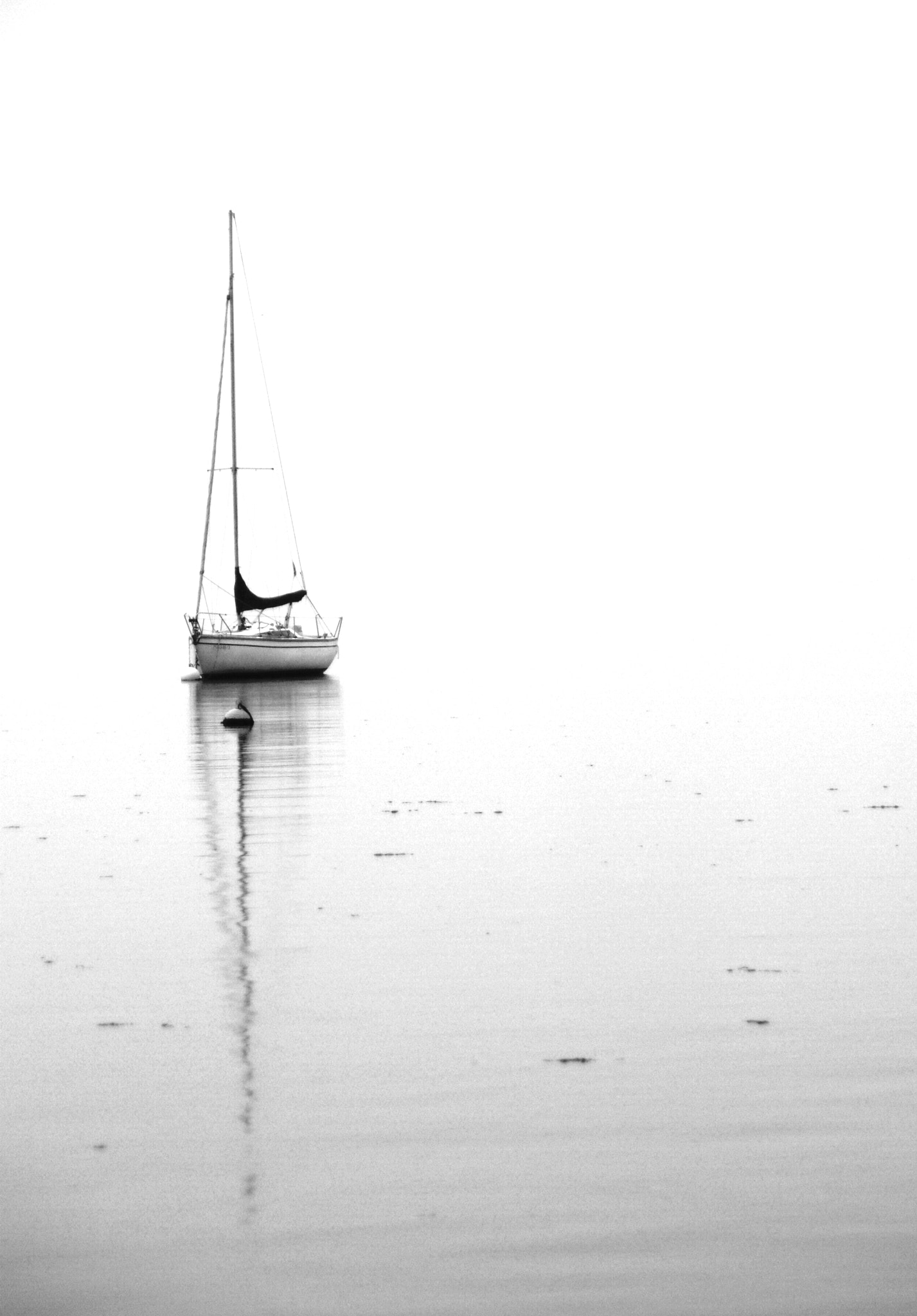 Sony DT 18-200mm F3.5-6.3 sample photo. Velero photography