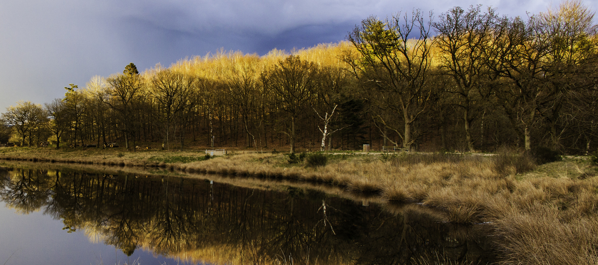 Canon EF 24mm f/1.4L sample photo. Spring, silkeborg 2016 photography