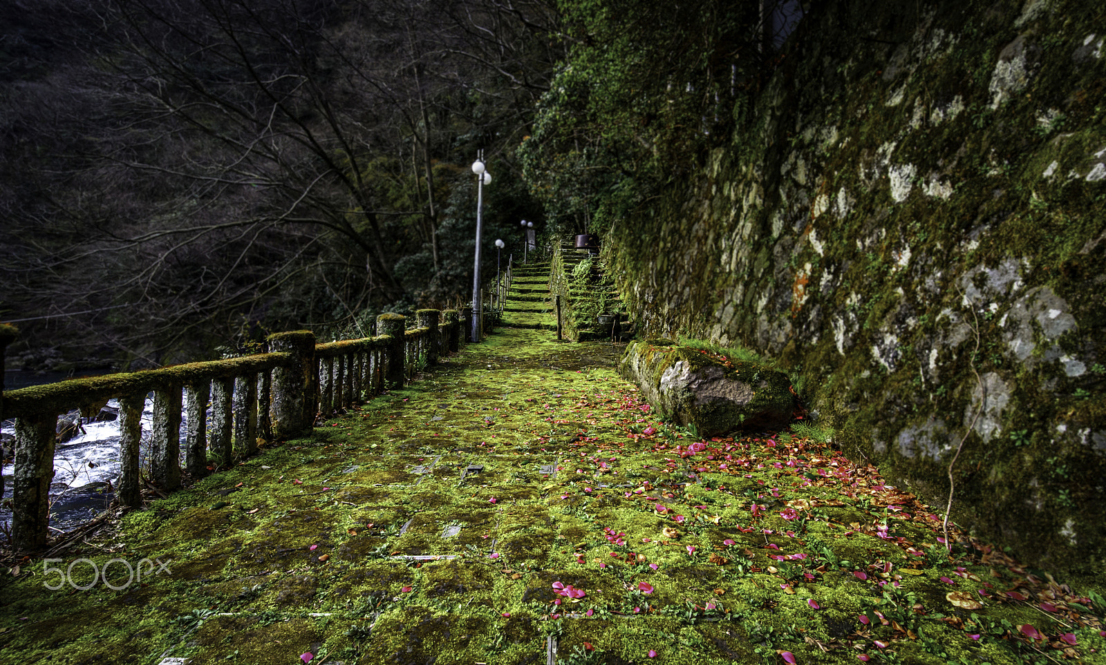 Tamron SP 15-30mm F2.8 Di VC USD sample photo. Pathway.. photography