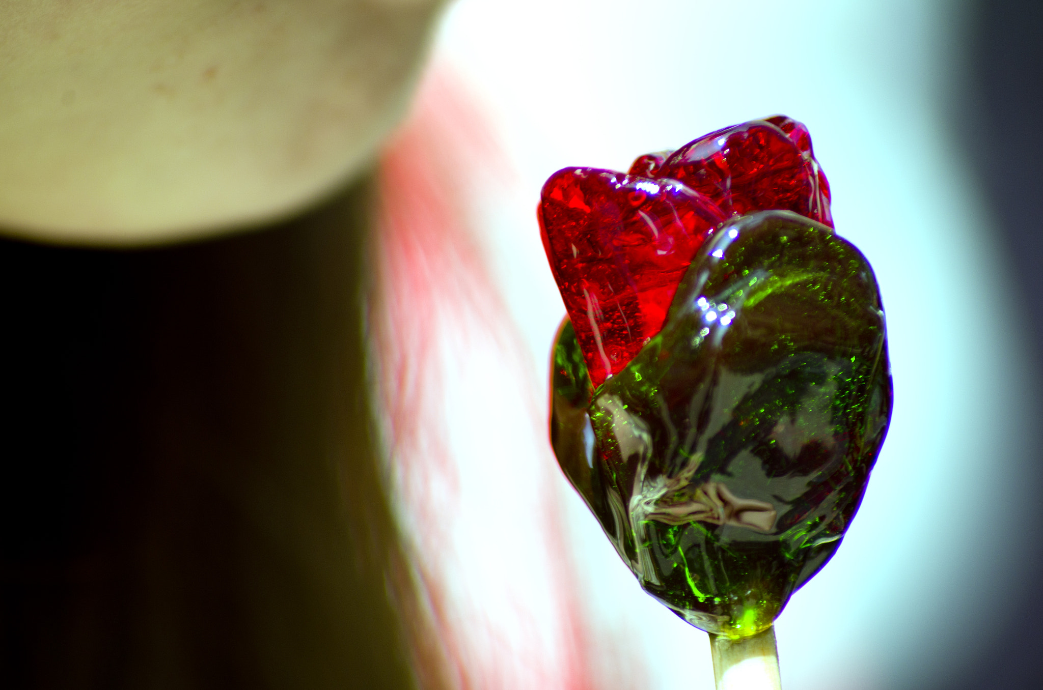 Tamron AF 70-300mm F4-5.6 Di LD Macro sample photo. Sweet rose photography