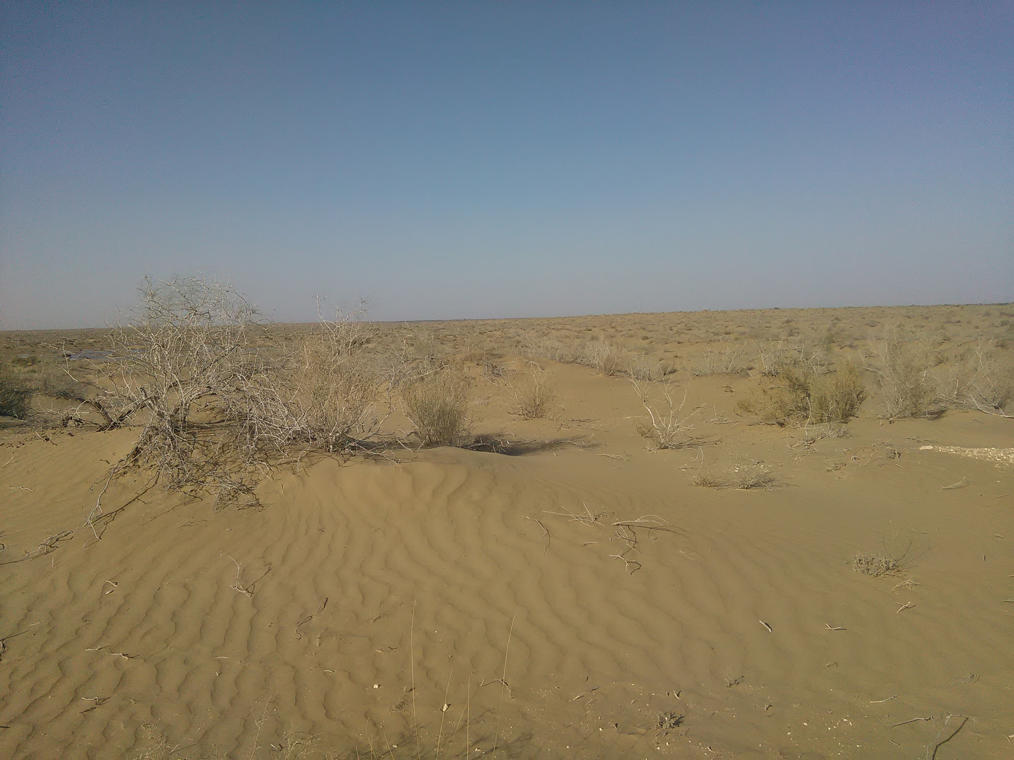 HUAWEI Y625-U32 sample photo