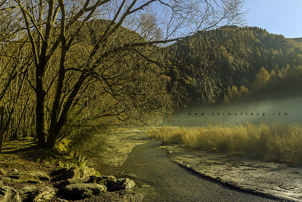 Canon EOS 5D + EF28-70mm f/2.8L USM sample photo. Winter morning photography