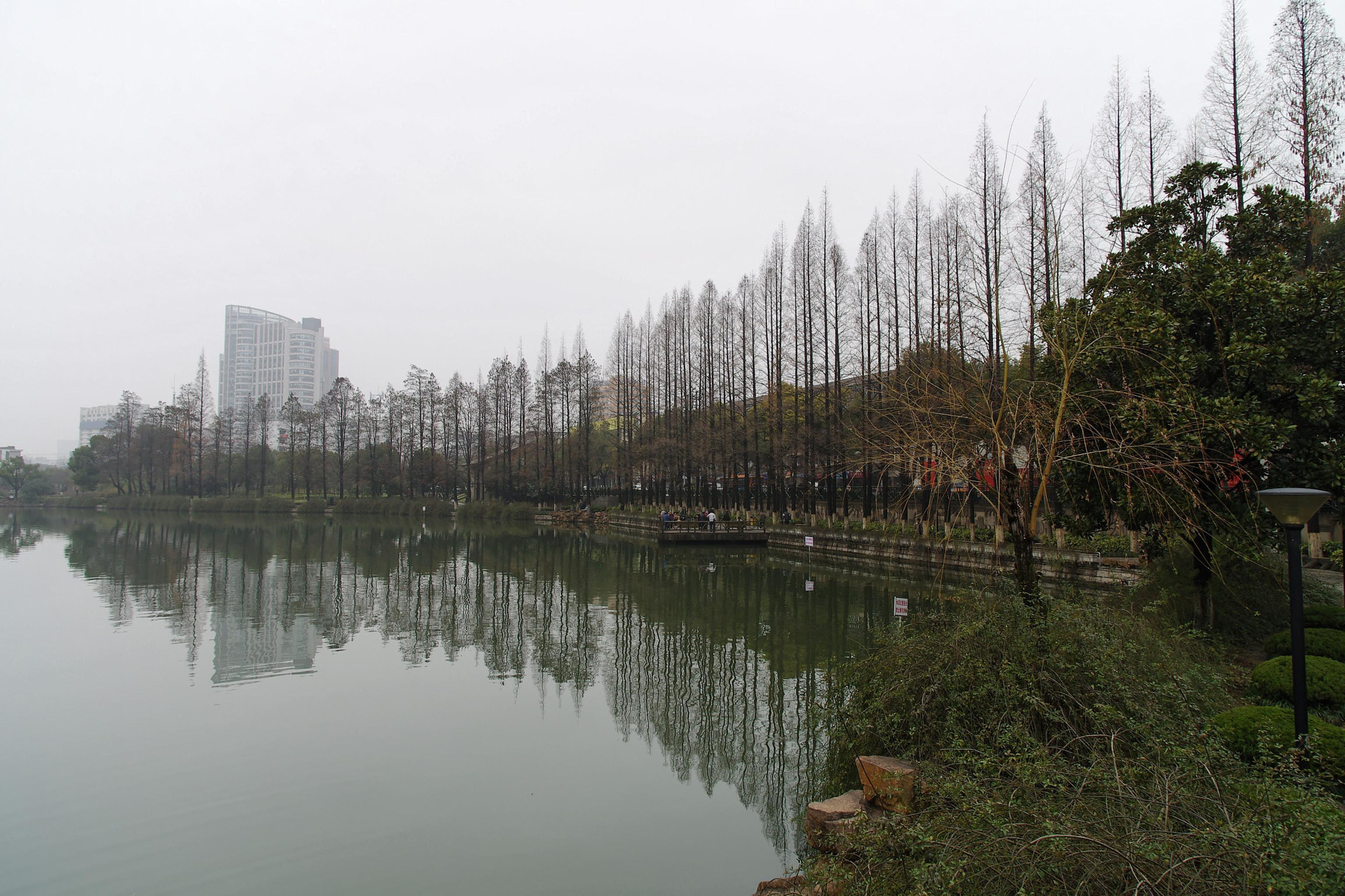 Pentax smc DA 14mm F2.8 ED (IF) sample photo. Park photography