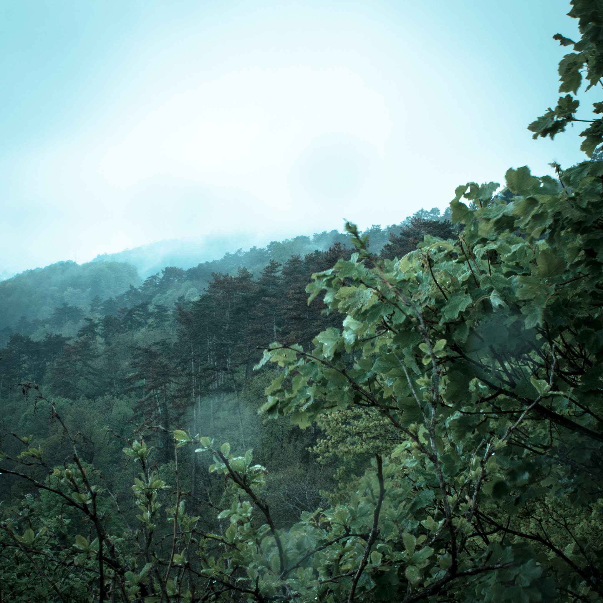 Canon EF 28mm F2.8 IS USM sample photo. . photography
