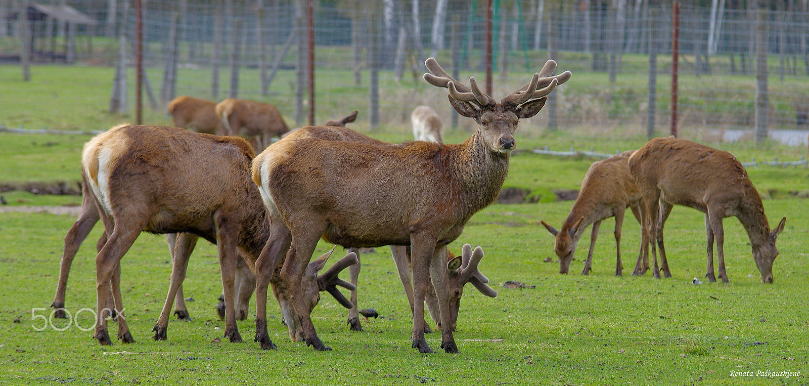 Pentax K-3 sample photo