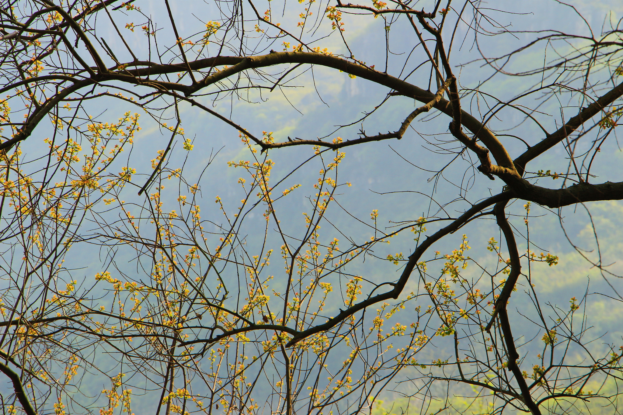 Canon EF 70-200mm F2.8L IS USM sample photo