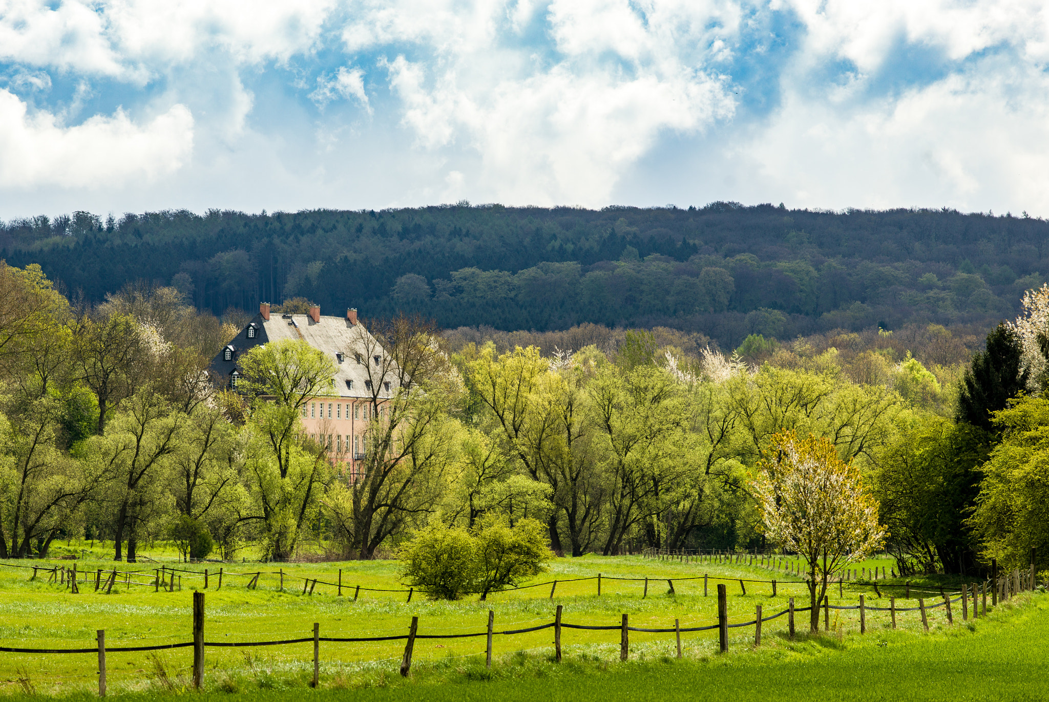 HC 210 sample photo. Spring light in the valley of river ruhr photography