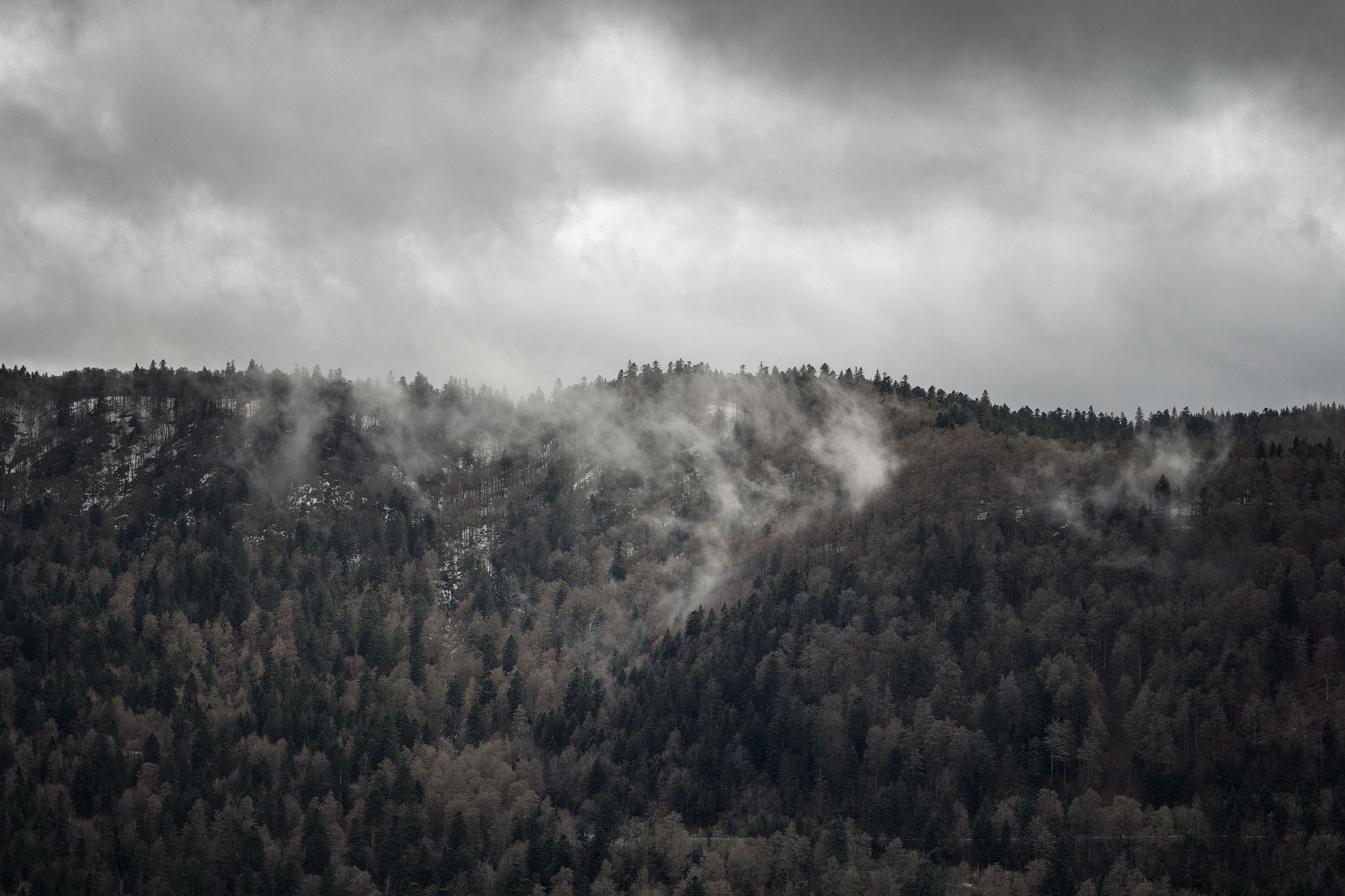 Canon EOS 650D (EOS Rebel T4i / EOS Kiss X6i) + Canon EF 500mm F4L IS USM sample photo. Ballon des vosges - gr5 - terrain hostile photography