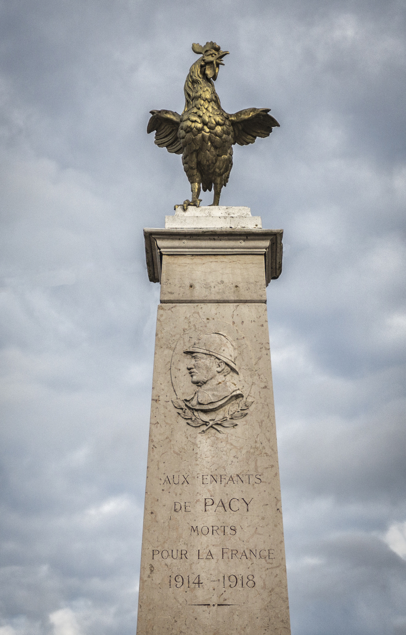 Canon EOS 650D (EOS Rebel T4i / EOS Kiss X6i) + Canon EF 500mm F4L IS USM sample photo. Monument aux morts - pacy sur armancon photography