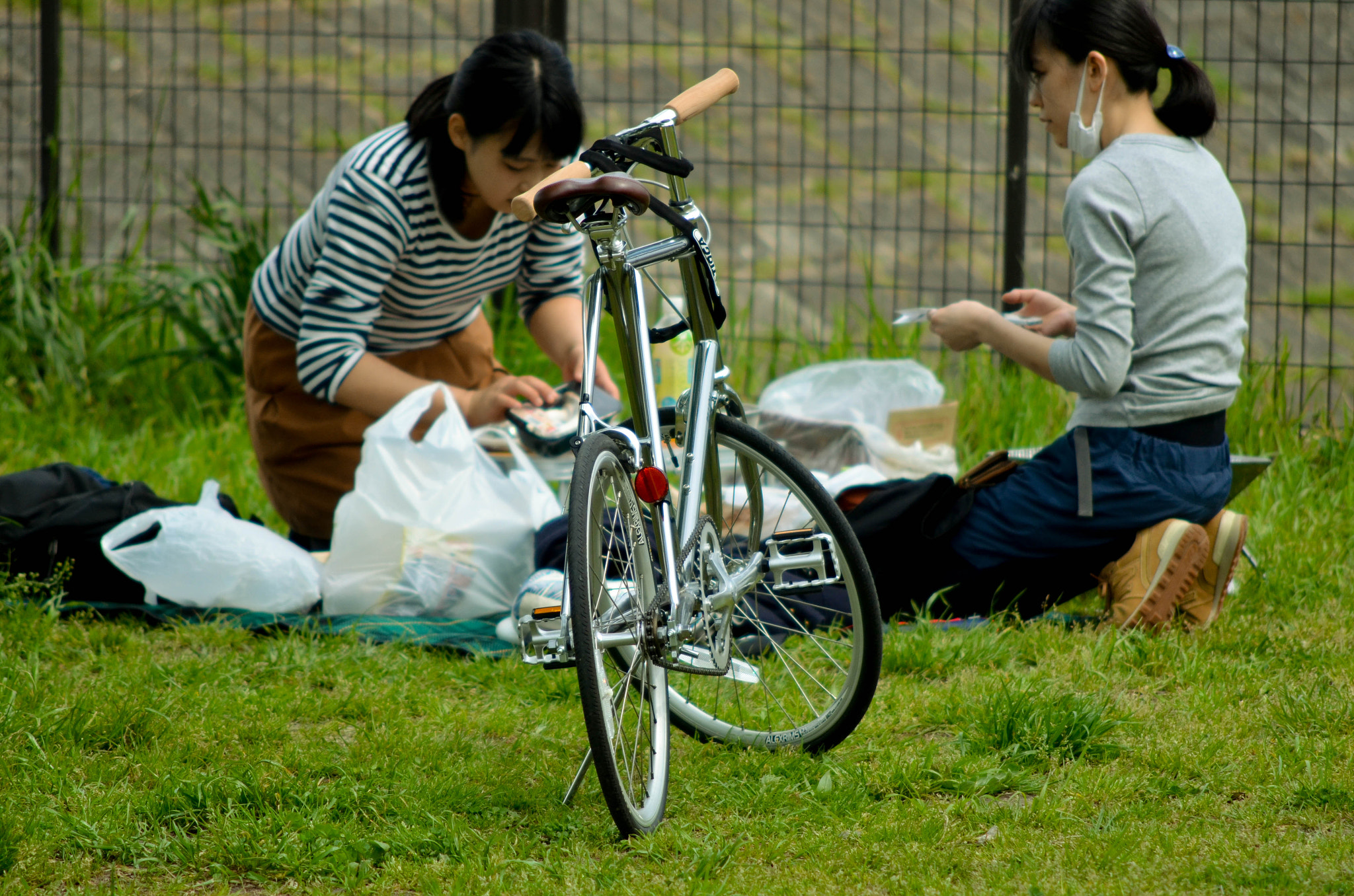 Nikon D7000 + AF Nikkor 70-210mm f/4-5.6 sample photo. Dsc_1576.jpg photography
