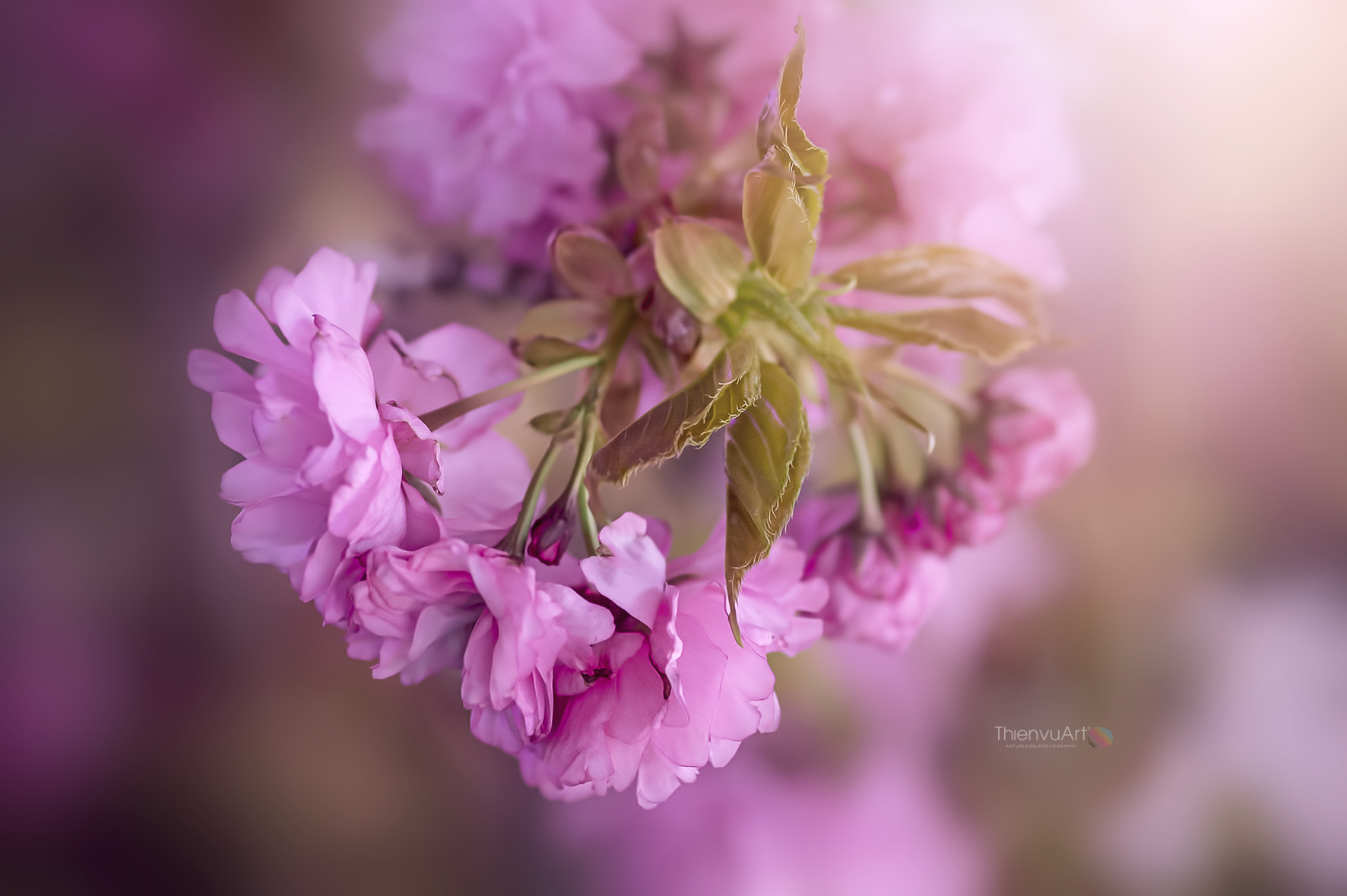 Nikon Df sample photo. _imi7730.jpg photography