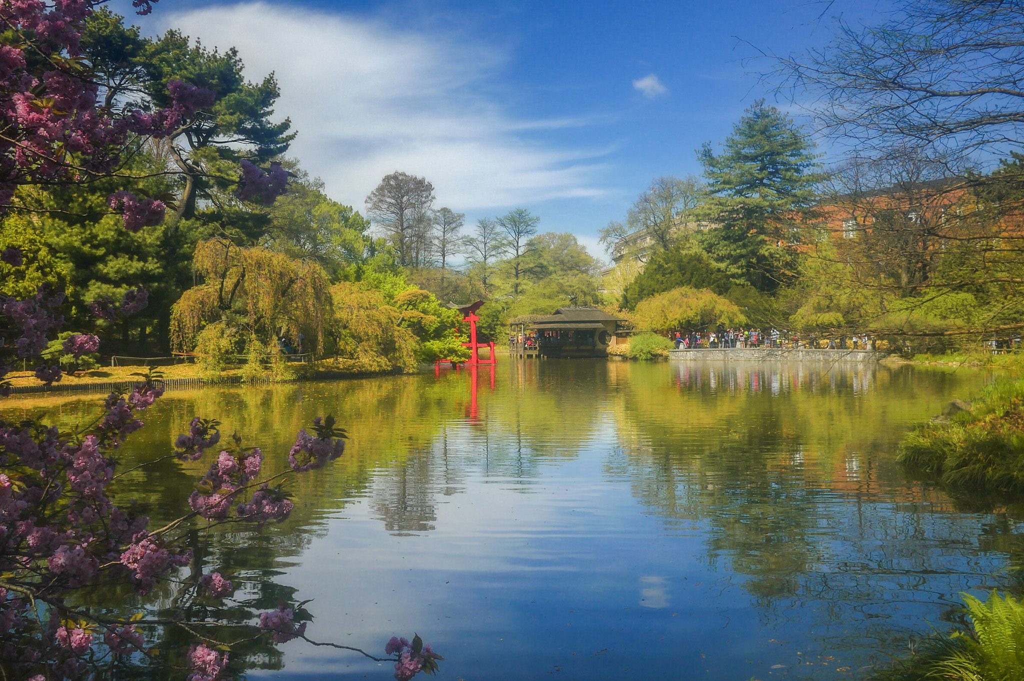 Panasonic Lumix DMC-GX8 + Panasonic Lumix G 14mm F2.5 ASPH sample photo. Brooklyn botanic garden photography