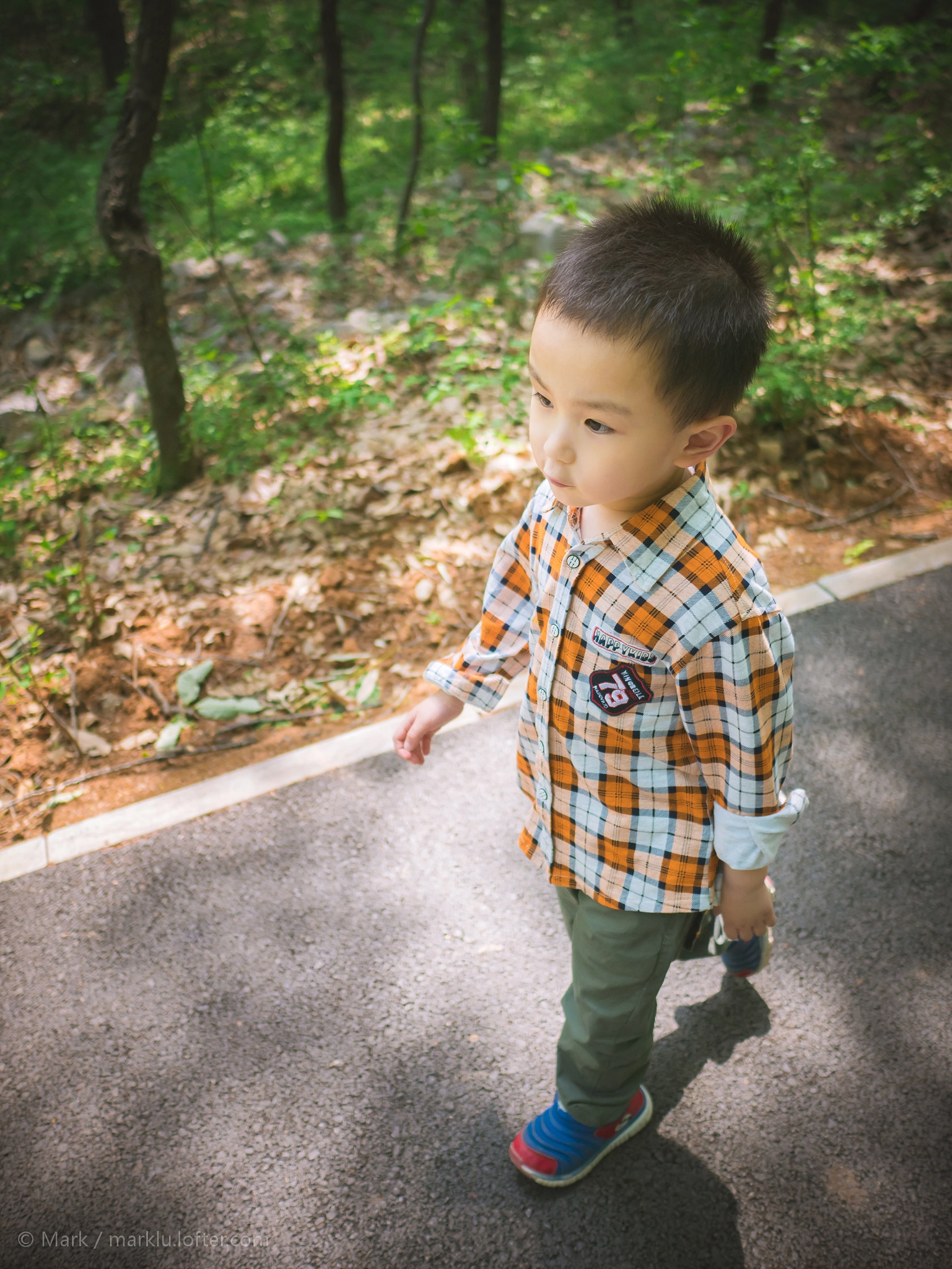 LEICA DG SUMMILUX 15/F1.7 sample photo