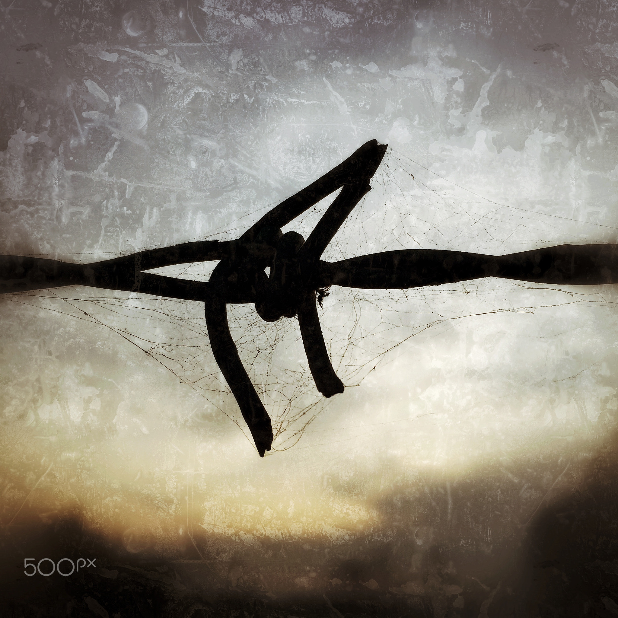 Barbed Wire