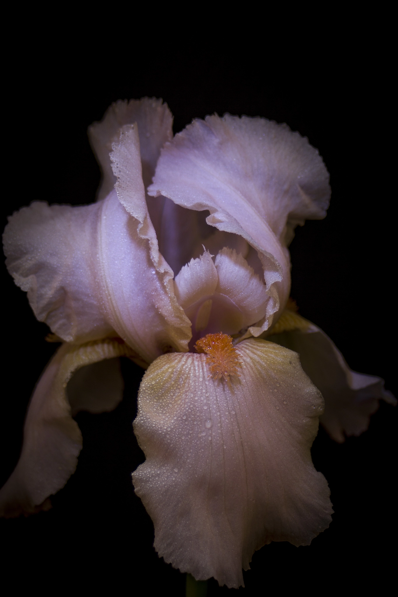Canon EF 28-80mm f/3.5-5.6 USM IV sample photo. ... photography