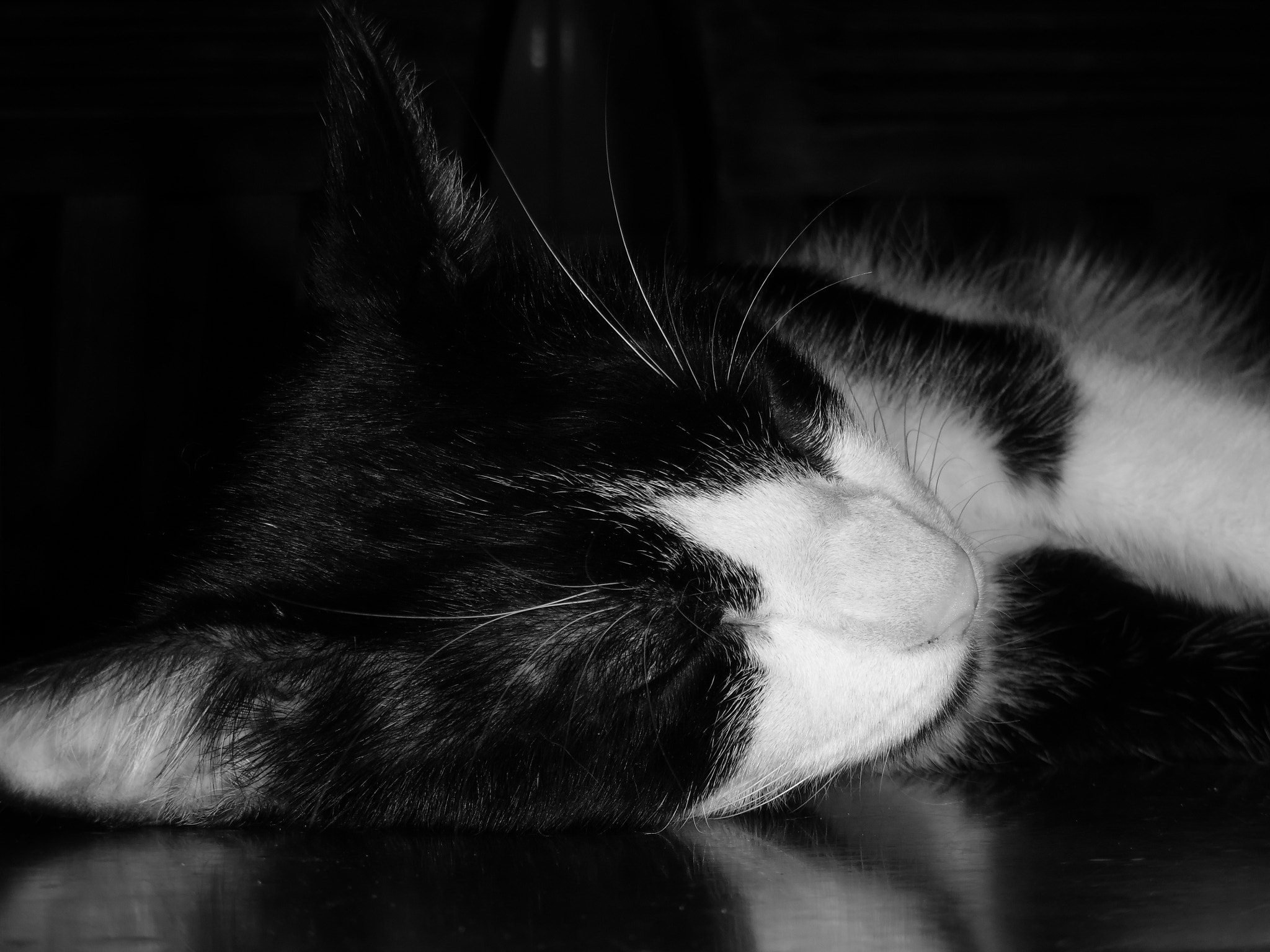 Samsung WB35F/WB36F/WB37F sample photo. Tom photography