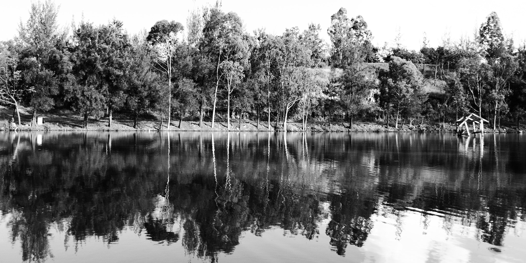 Canon EF-S 18-55mm F3.5-5.6 sample photo. Lago en milpillas photography