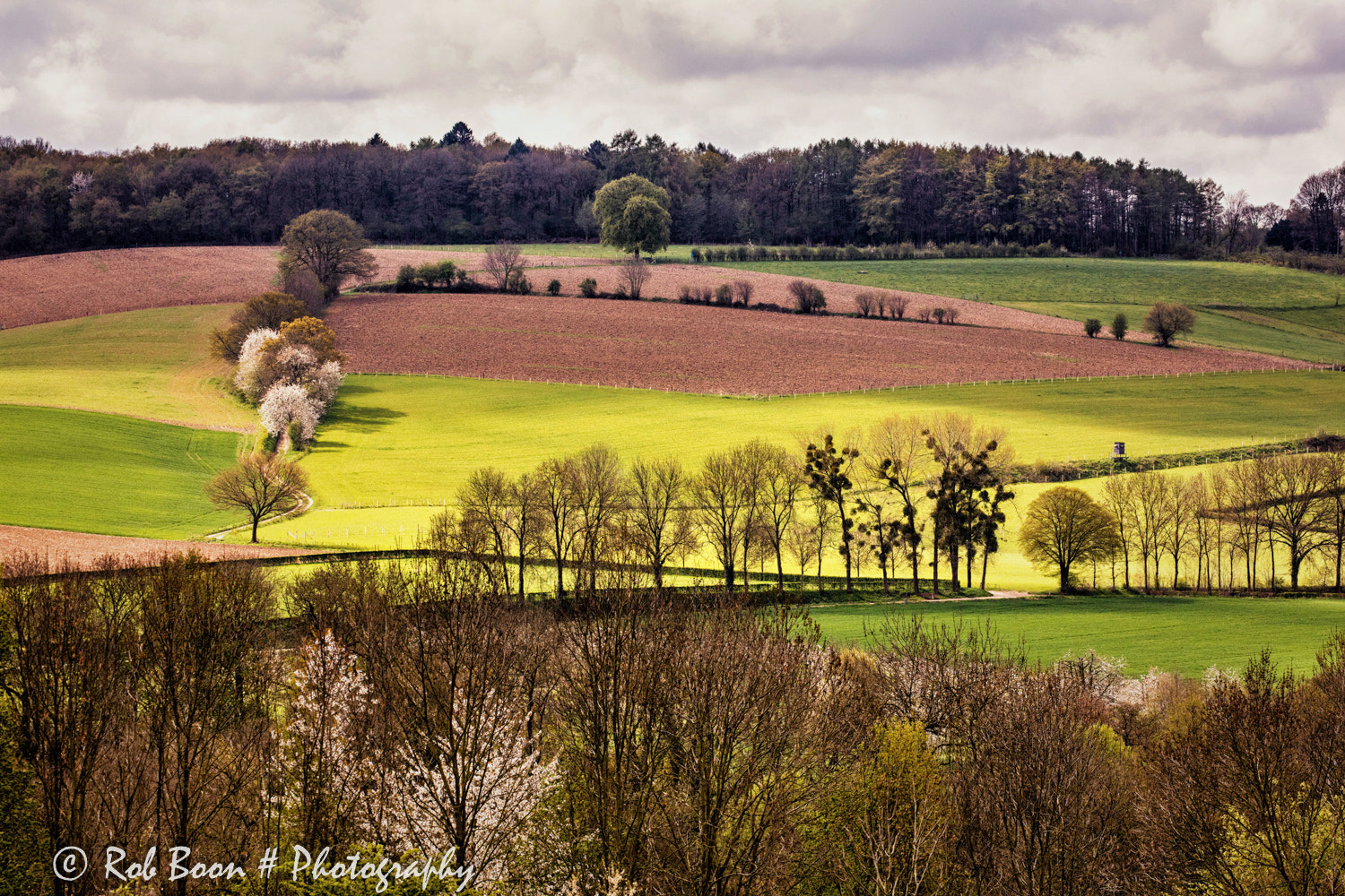 Canon EF 100-400mm F4.5-5.6L IS II USM sample photo. Noorbeek 1 photography