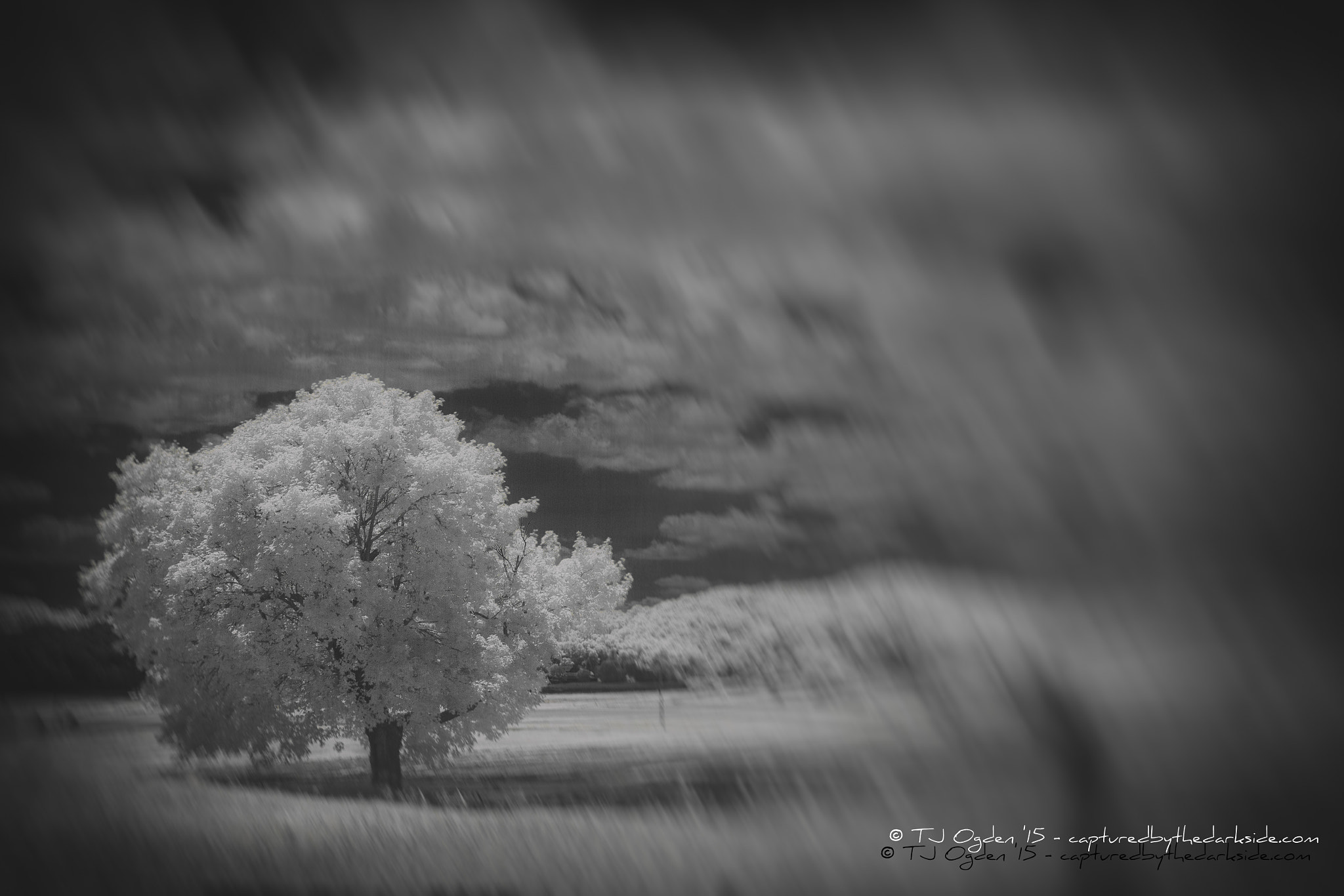 Canon EOS 550D (EOS Rebel T2i / EOS Kiss X4) sample photo. A dream in ir photography