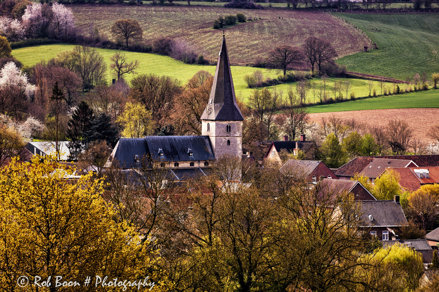 Canon EF 100-400mm F4.5-5.6L IS II USM sample photo. Noorbeek 2 photography