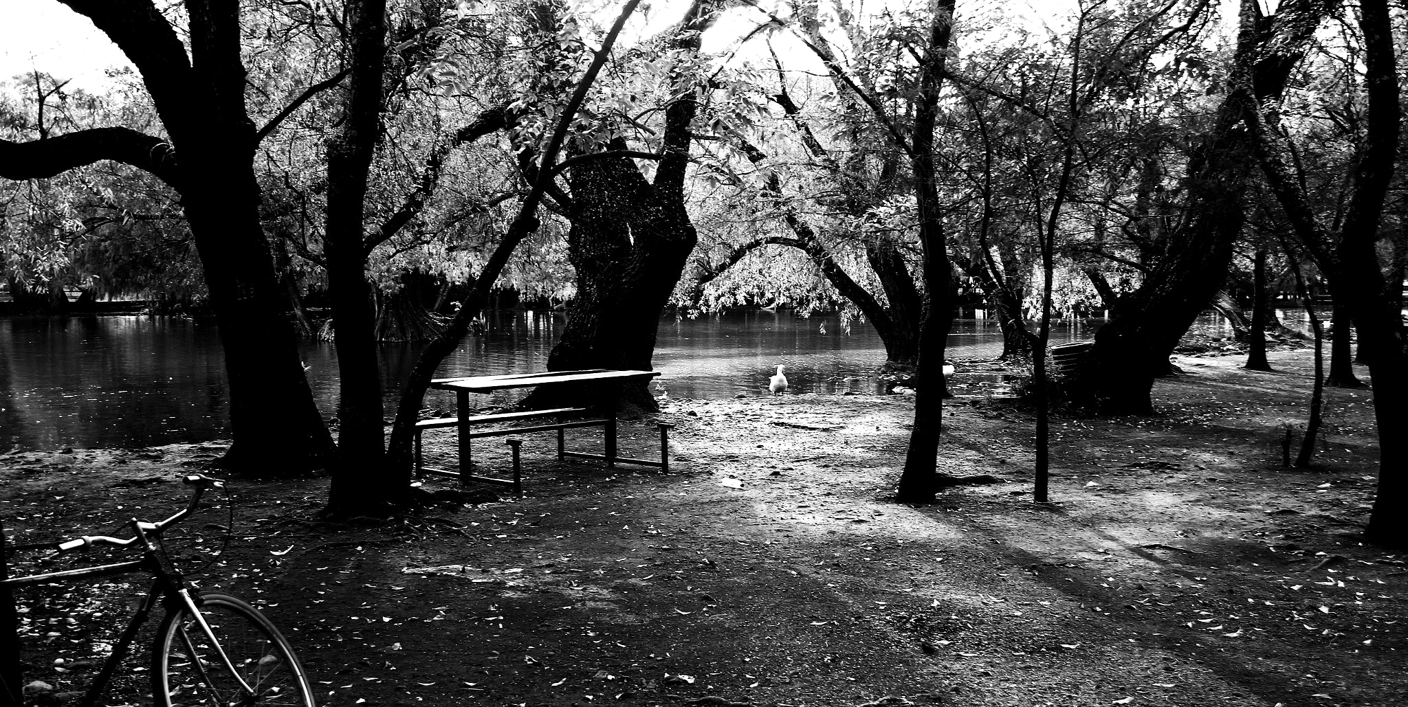 Canon EF-S 18-55mm F3.5-5.6 sample photo. Paraje en camecuaro photography