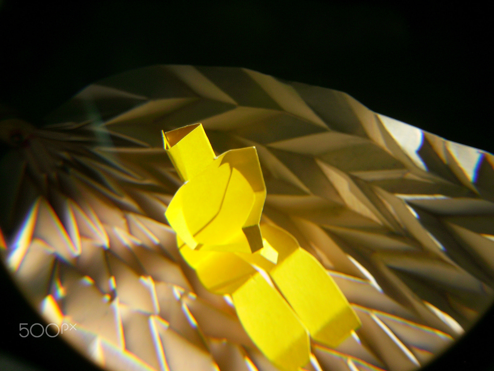 Digital Camera 5MP-9Y3 sample photo. Kirigami photography