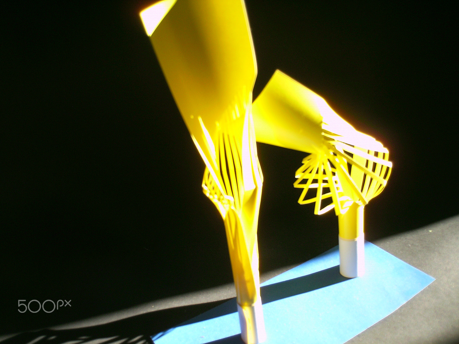 Digital Camera 5MP-9Y3 sample photo. Kirigami photography