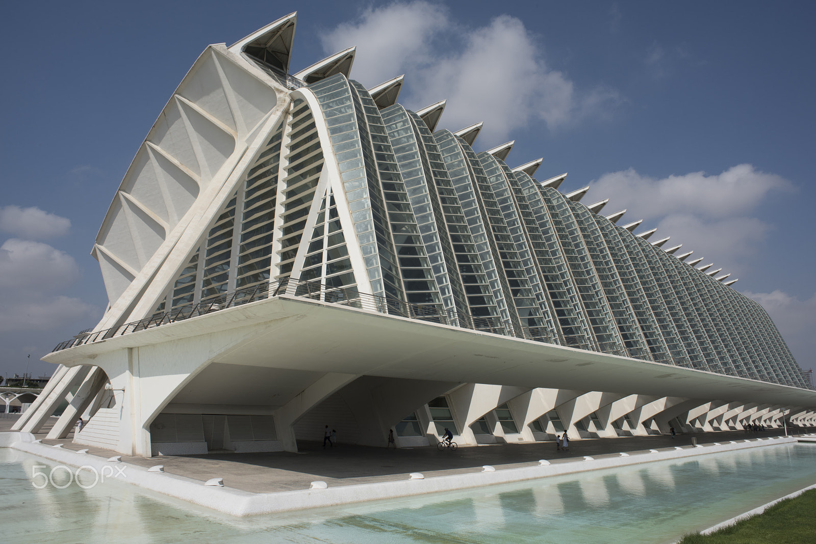 Nikon D810 + Nikon AF Nikkor 24mm F2.8D sample photo. Museu de les ciències valencia, spain photography