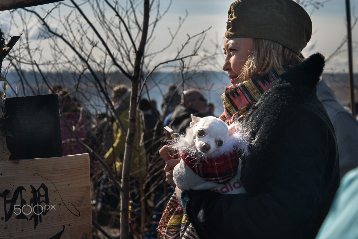 Nikon Df sample photo. Girl with dog photography