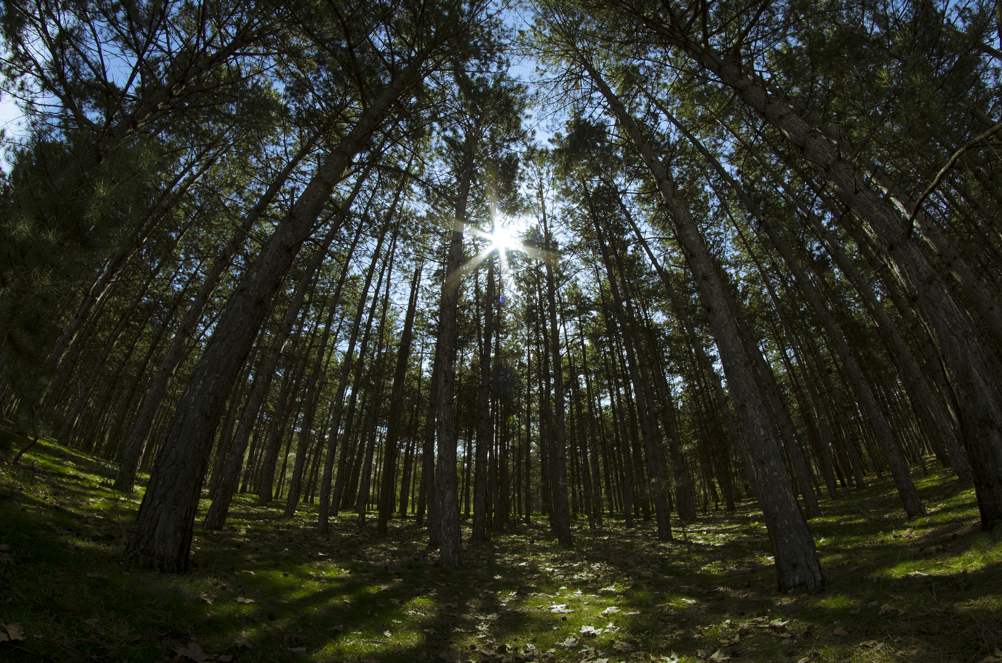 Samyang 8mm F3.5 Aspherical IF MC Fisheye sample photo. Landscape photography