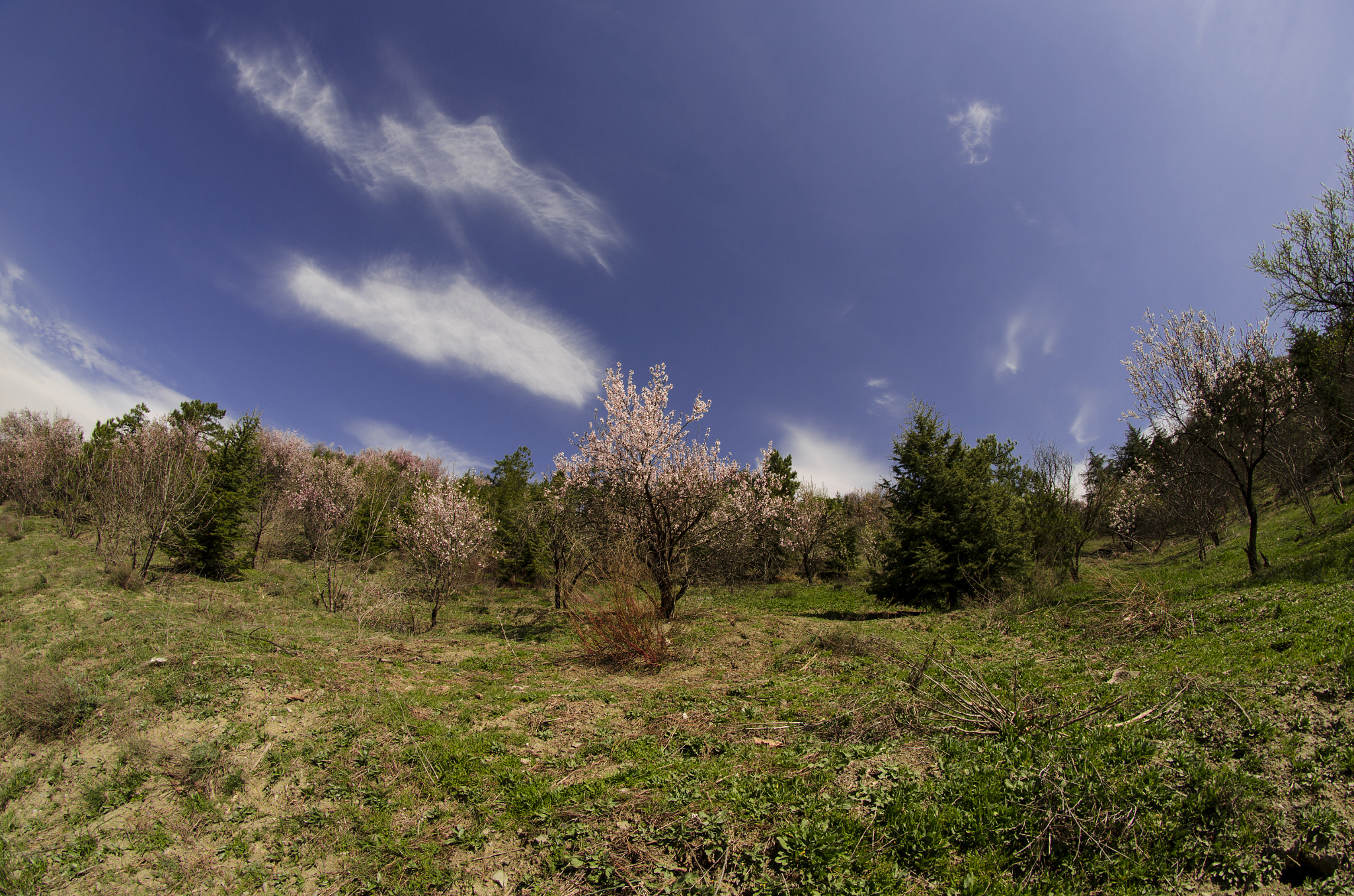Nikon D5100 + Samyang 8mm F3.5 Aspherical IF MC Fisheye sample photo. Landscape photography