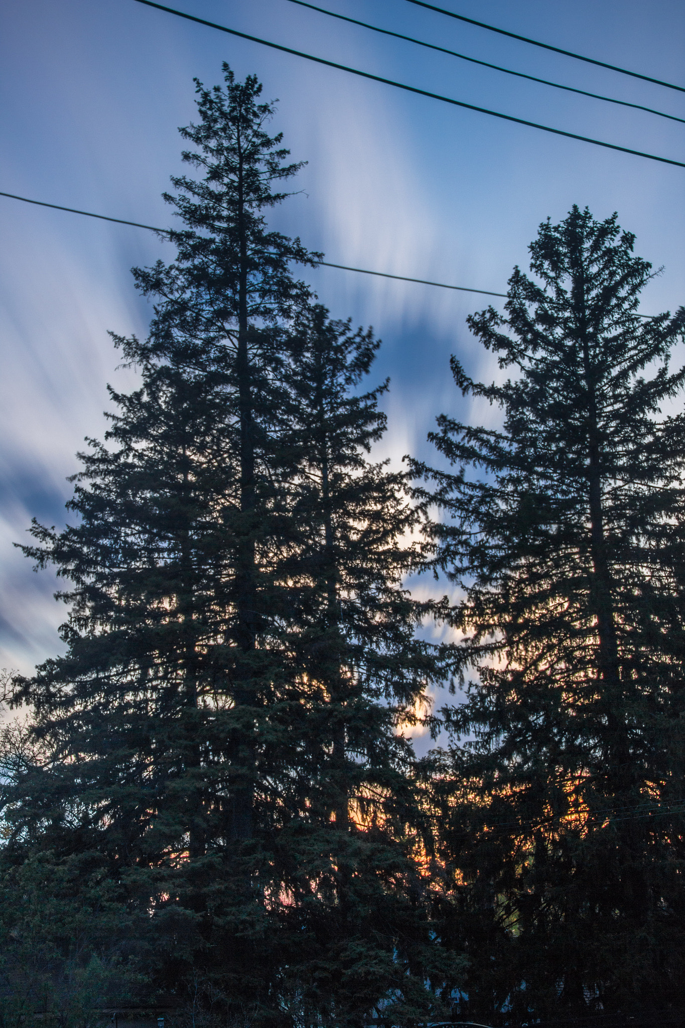 Canon EOS 550D (EOS Rebel T2i / EOS Kiss X4) sample photo. Trees long exposure photography