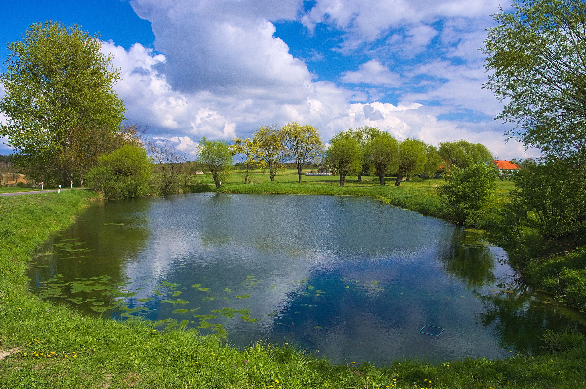 Pentax K-5 + Pentax smc DA 15mm F4 ED AL Limited sample photo. Small pond in small village called bieździadów photography