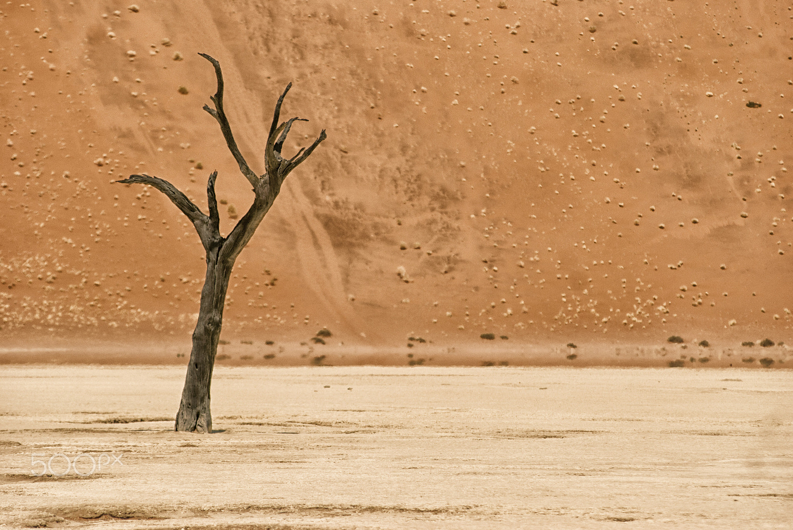 Nikon D80 + AF Zoom-Nikkor 80-200mm f/2.8 ED sample photo. Dead vlei photography