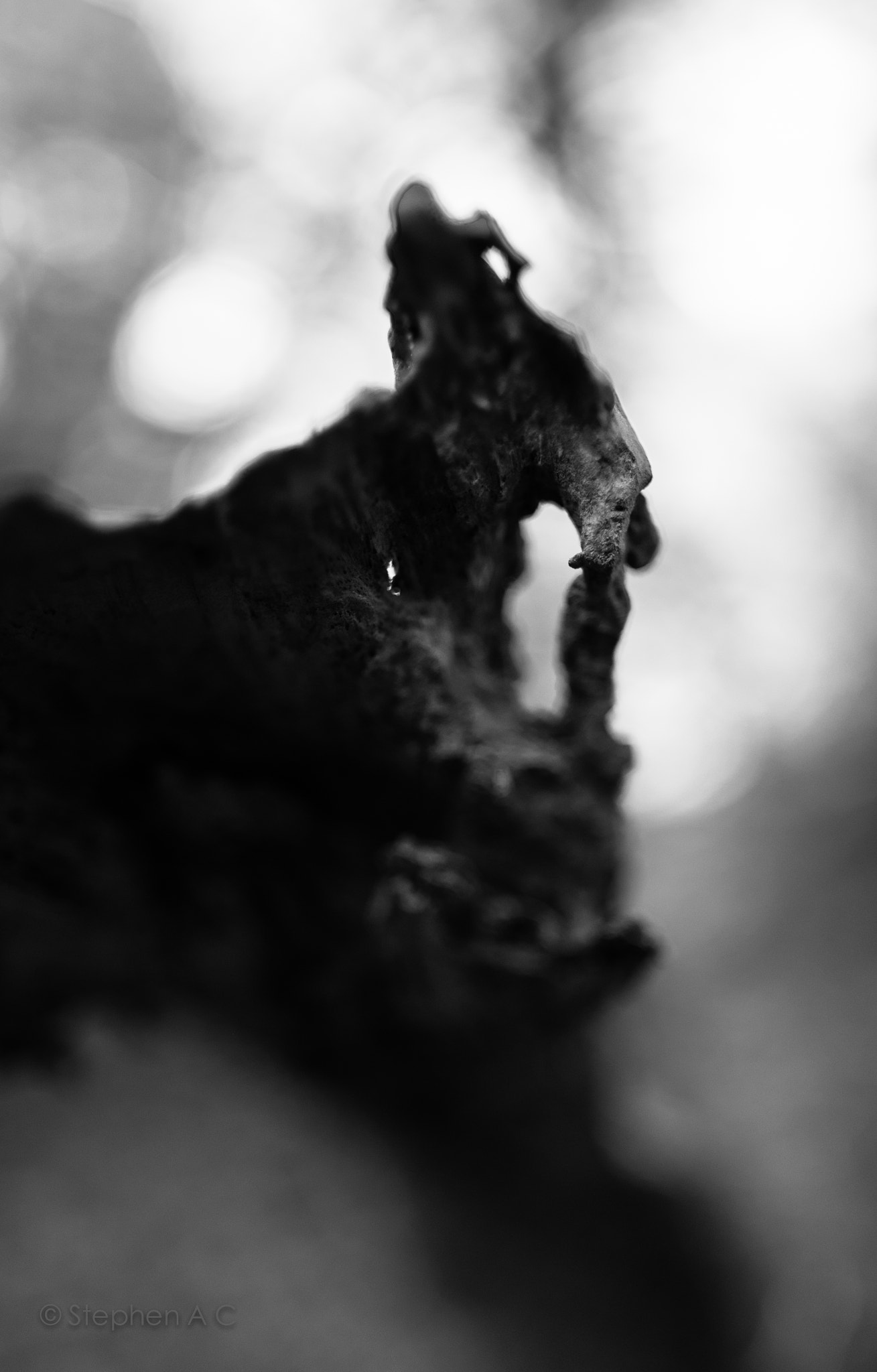 Fujifilm X-E2 + Fujifilm XF 16mm F1.4 R WR sample photo