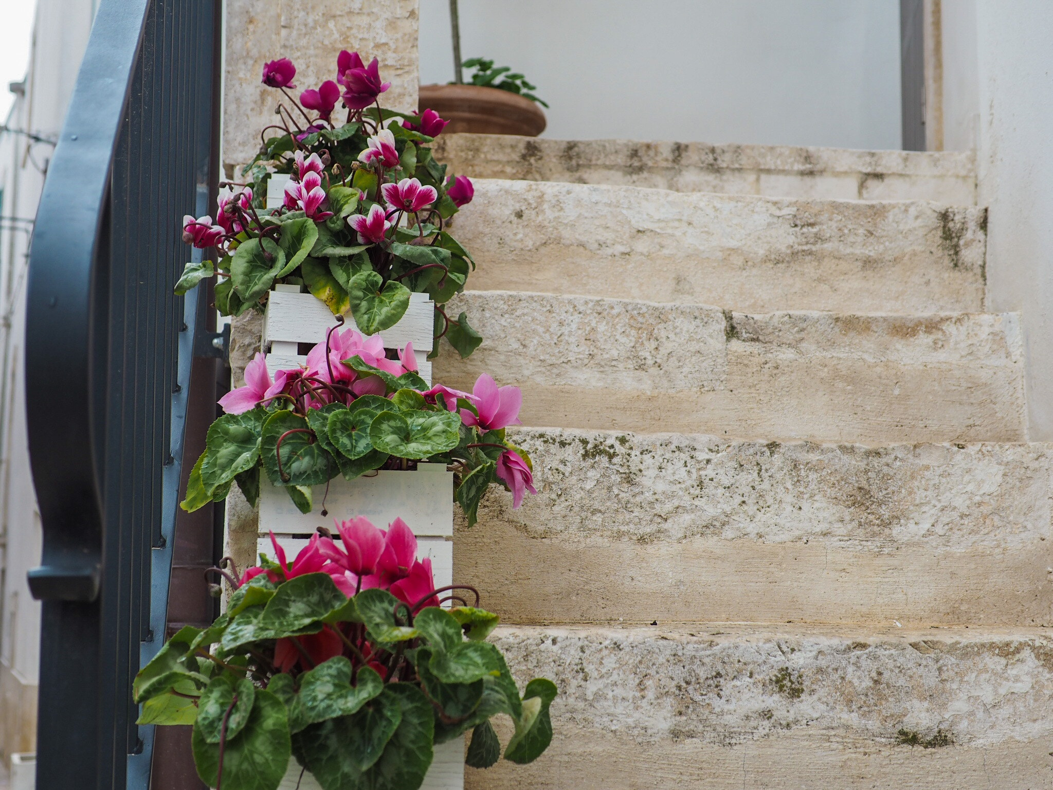 Olympus PEN E-PL7 + Panasonic Leica DG Summilux 25mm F1.4 II ASPH sample photo. Scalini nocesi photography