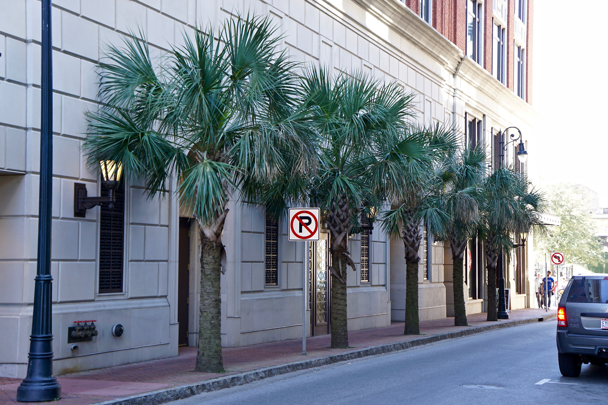 Sony a6000 + Tamron 18-200mm F3.5-6.3 Di III VC sample photo. Palm trees downtown savannah photography