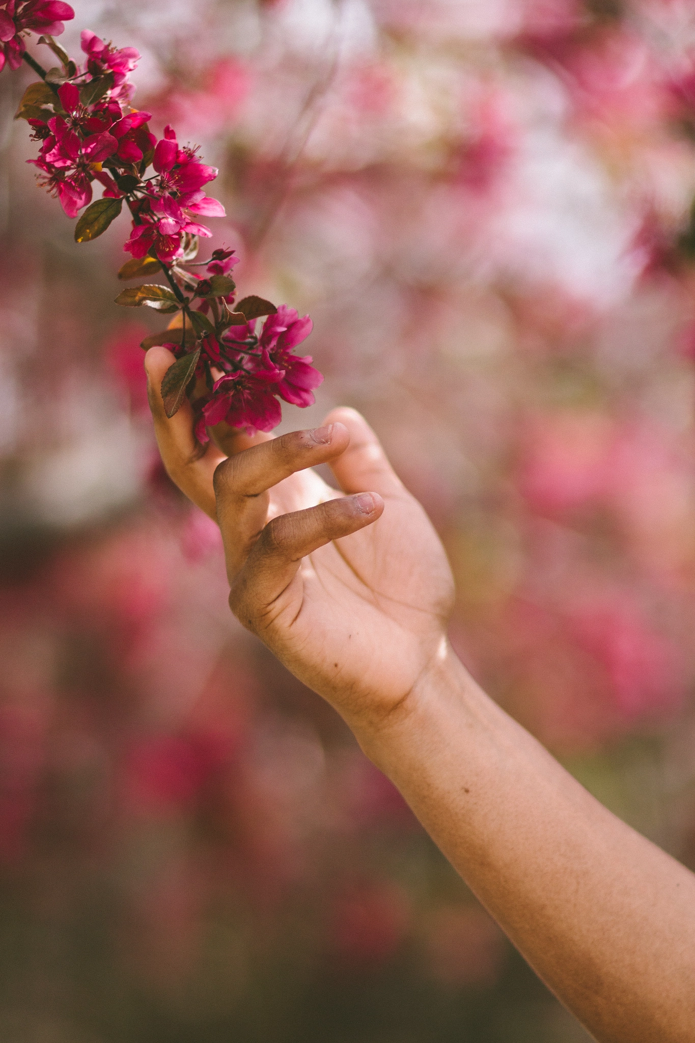 Canon EOS 70D + Canon EF 85mm F1.2L II USM sample photo. Touch of spring photography