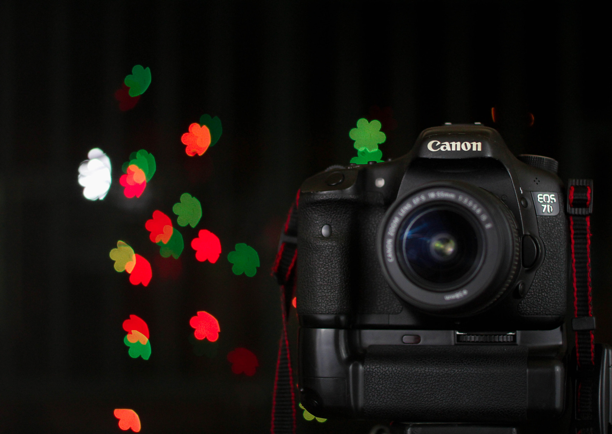 Canon EOS 1200D (EOS Rebel T5 / EOS Kiss X70 / EOS Hi) + Canon EF 50mm F1.4 USM sample photo