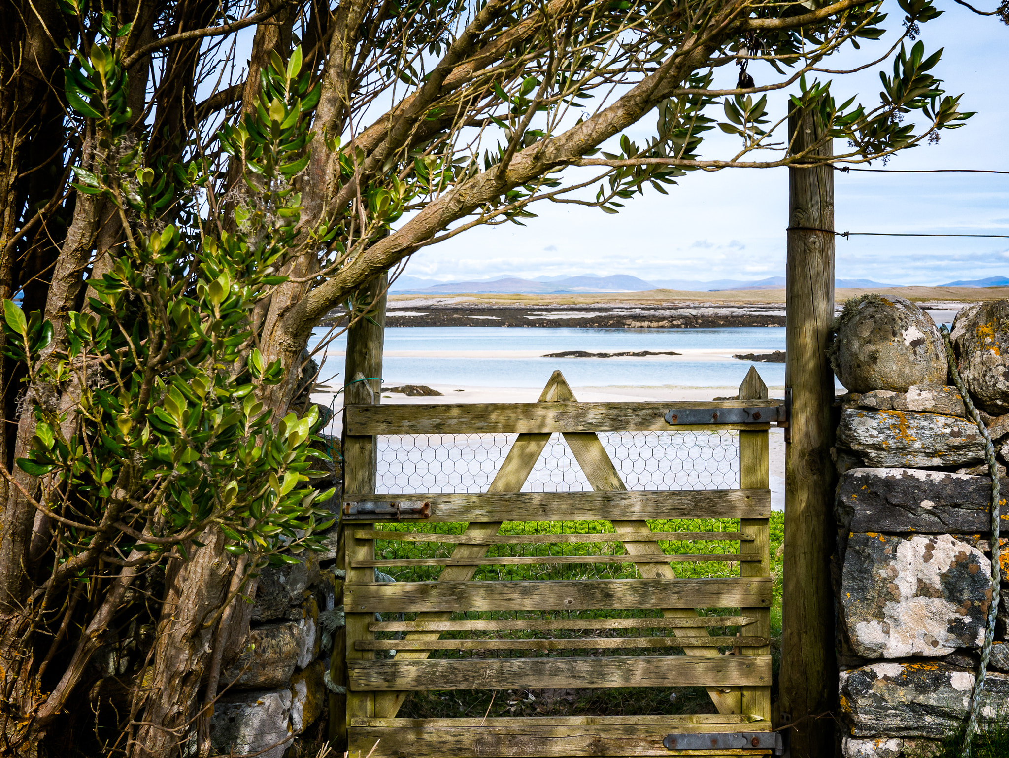 Panasonic Lumix DMC-G7 + Panasonic Lumix G 20mm F1.7 ASPH sample photo. Gateway to a hebridean summer. photography