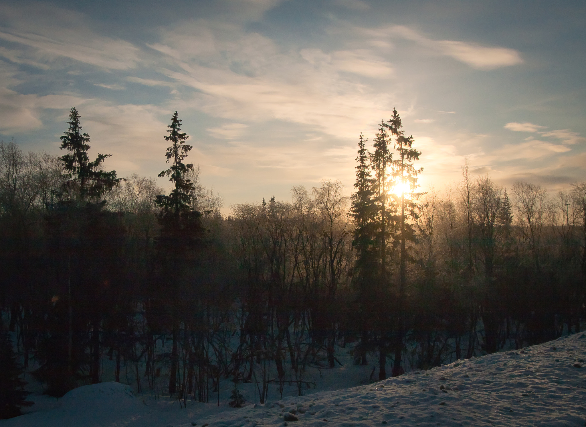 Canon EOS 40D + Sigma 20mm EX f/1.8 sample photo. Murmansk forest photography