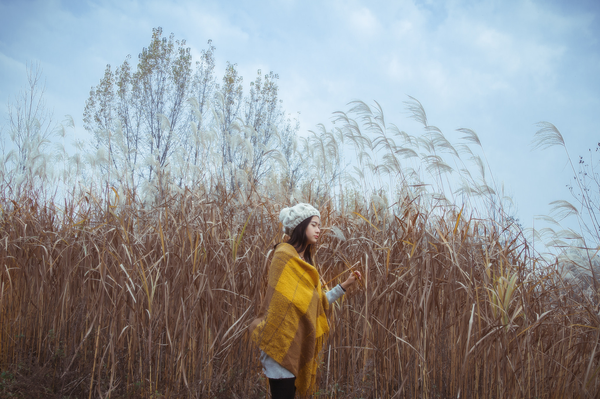 Olympus OM-D E-M10 sample photo. Wind photography