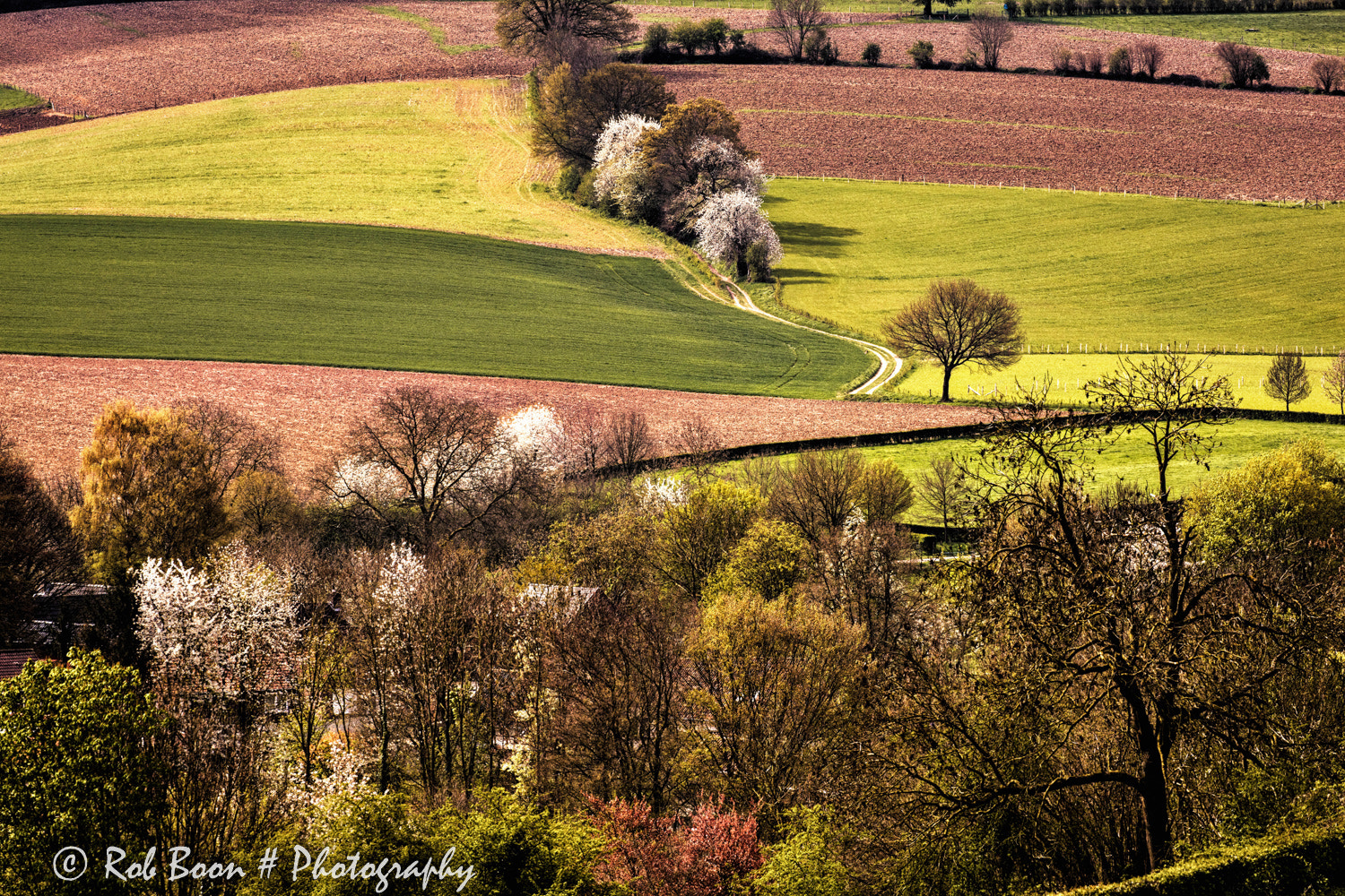 Canon EF 100-400mm F4.5-5.6L IS II USM sample photo. Shapes & textures @ noorbeek photography