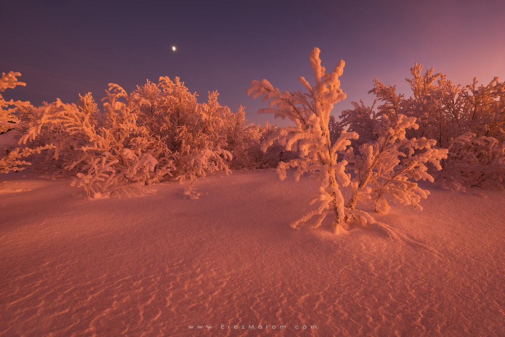 16-35mm F4 OSS sample photo. Post-sunset red photography